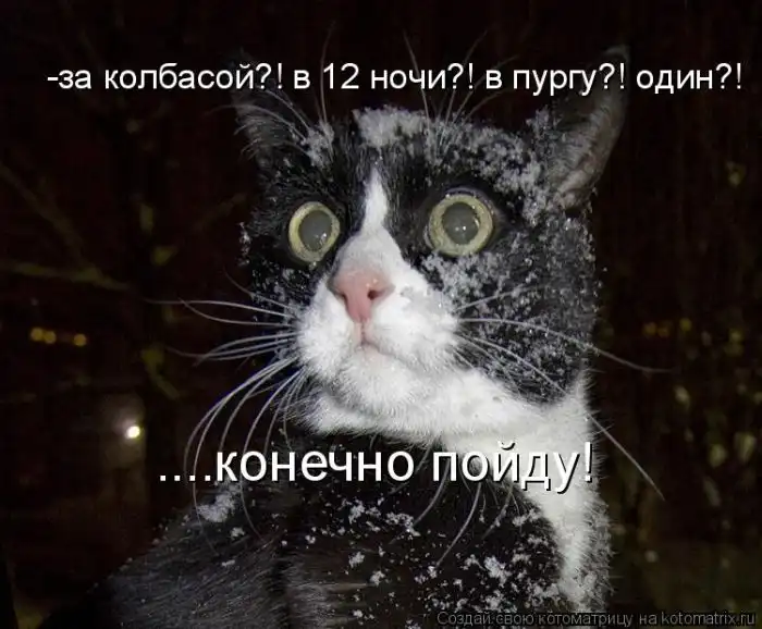 Лучшие котоматрицы недели