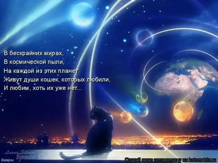 Лучшие котоматрицы недели