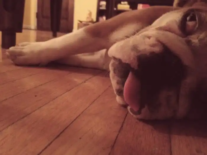 Прикольные картинки абавсём:D (10.11.11)