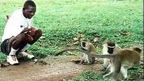 Ребята-зверята. Знаменитые Маугли современности (11 фото + текст)