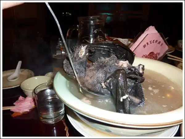 Экзотический супчик из летучих мышей (11 фото)