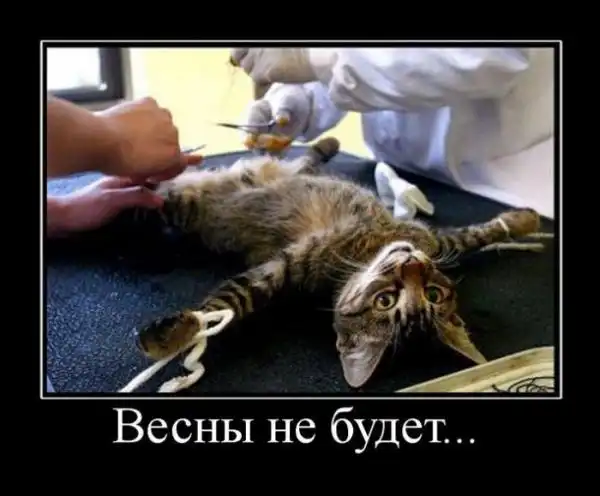 Демики от Herzeleid # 3 ;)