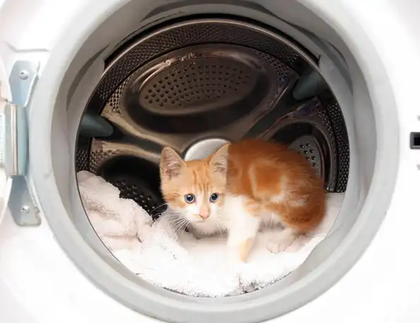 Животные в фотографиях: 7-13 ноября 2011