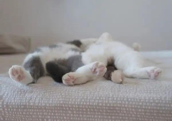 Картинки на выходние