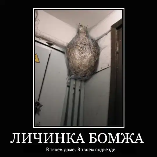 Как становятся бомжами