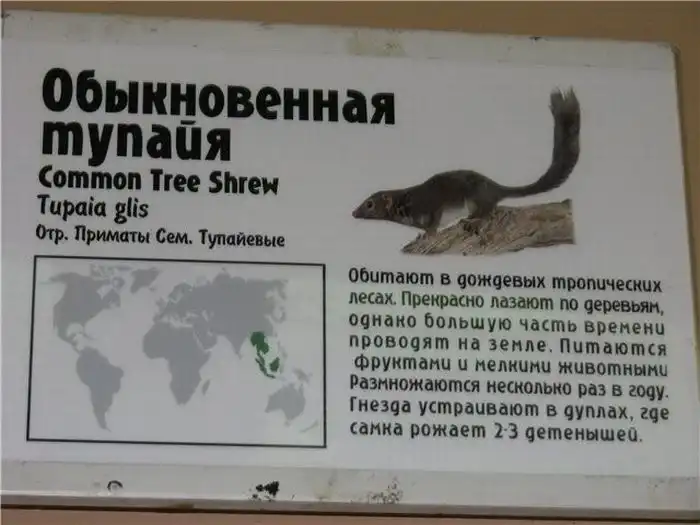 Прикольные картинки абавсём:D (21.11.11)