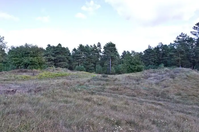 Бункер в Беловежской пуще