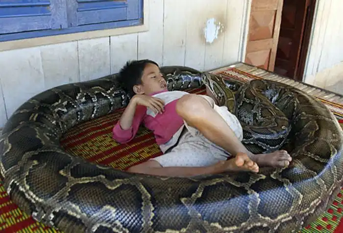 Лучшие друзья - питон и мальчик