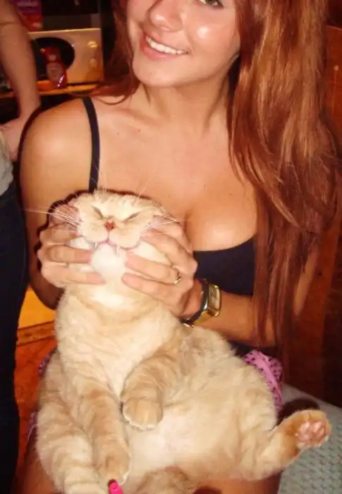 Прикольные картинки абавсём:D (24.11.11)