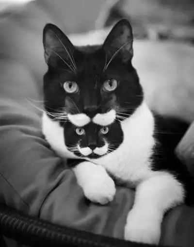 Опять накурился, засранец?