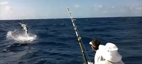 А вы говорите "Й-а-а-а-зь!!!!"...