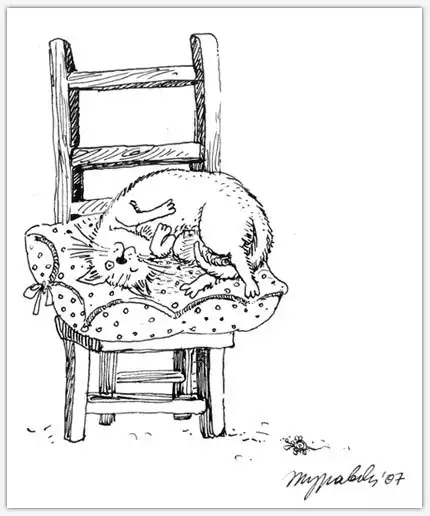 Правила поведения для правильной кошки