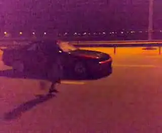 это п-ц)))))скай