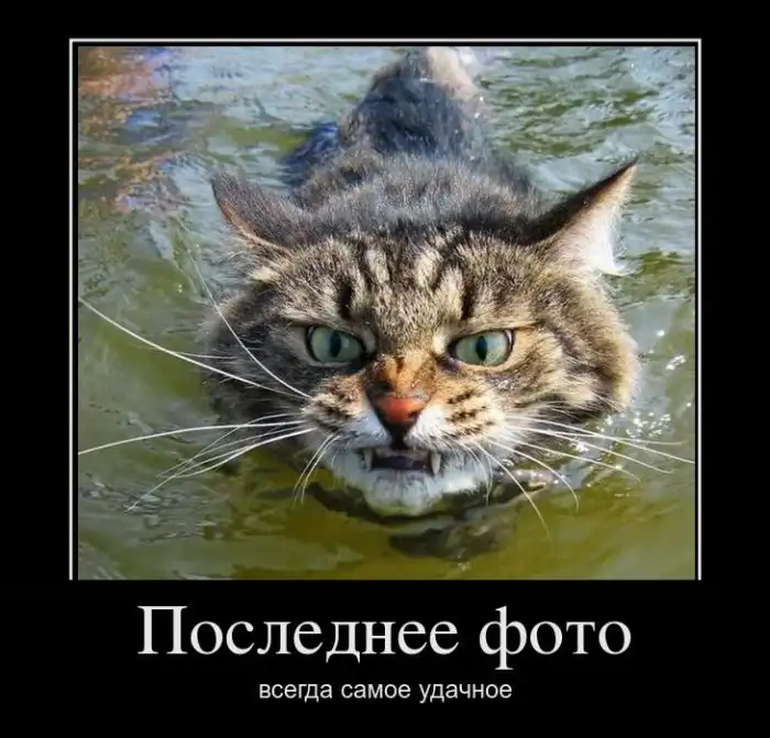 Картинки в черной рамке