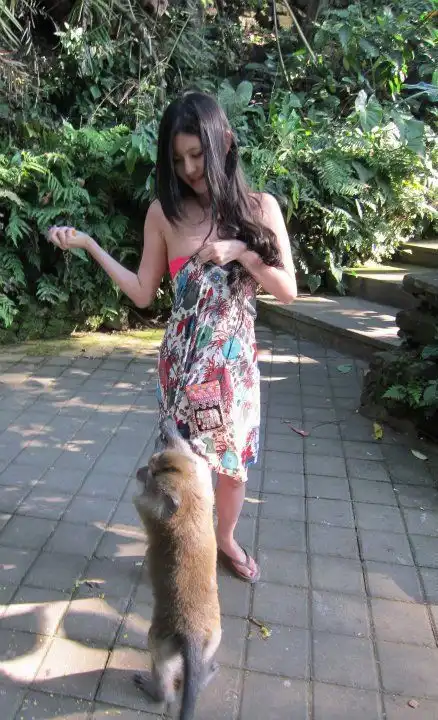 Развратные обезьянки (мини пост)