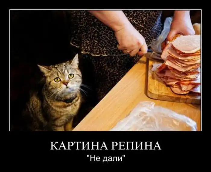 Картинки в черной рамке