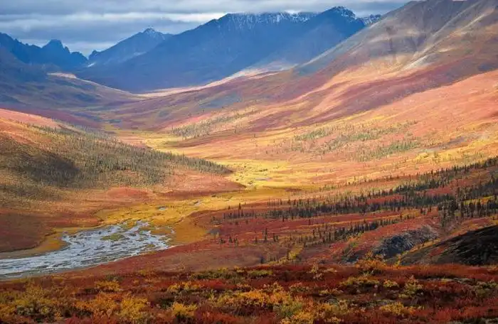 Красивая осень