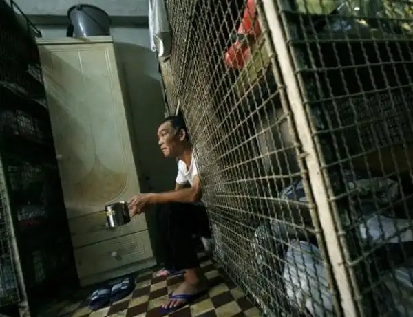 Жизнь в клетке