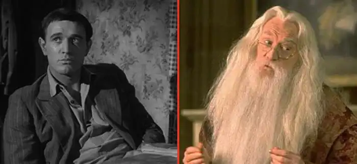 Актеры из фильмов о Гарри Поттере в молодости