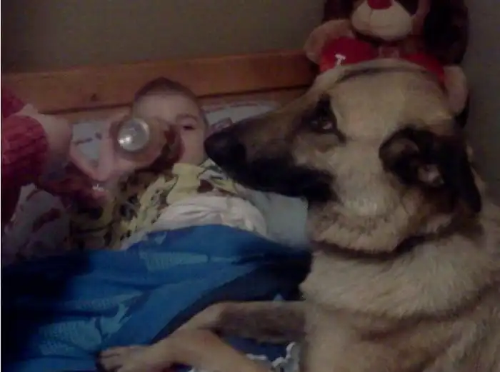 Преданный друг