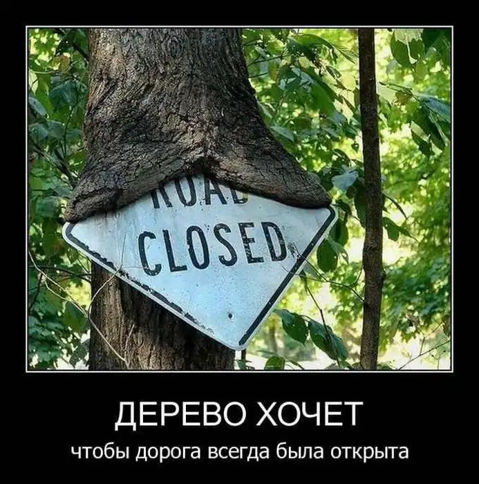 Картинки в черной рамке