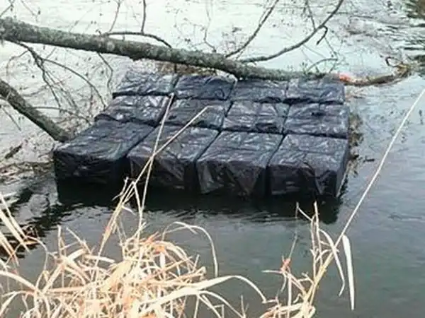 Бобер против контрабанды (мини пост)