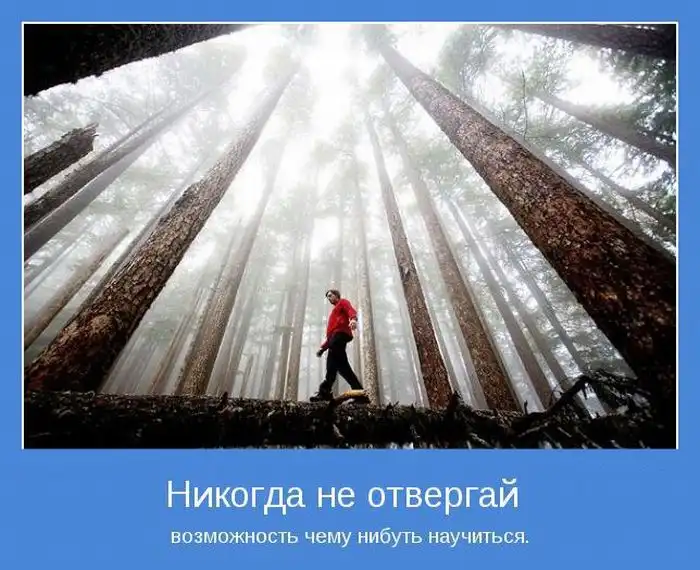 Мотиваторы