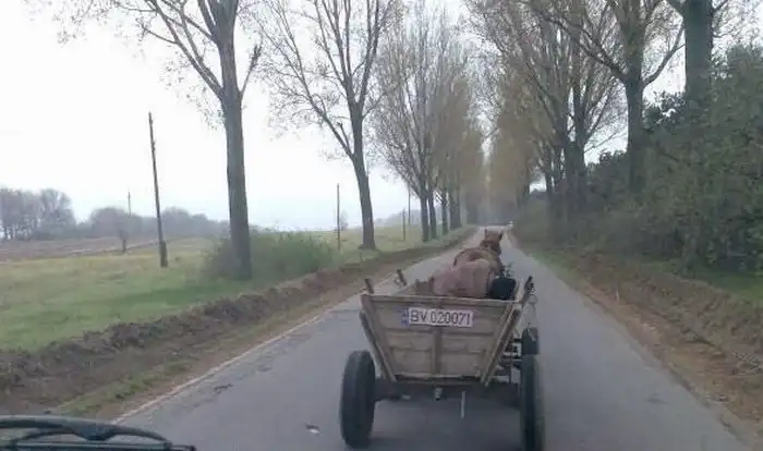 Польский автопилот (мини пост)