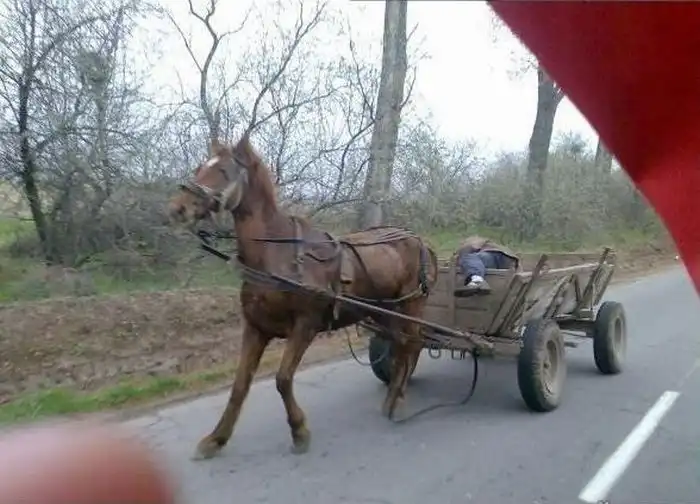 Польский автопилот (мини пост)
