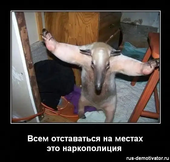 Демотиваторы (50 картинок)