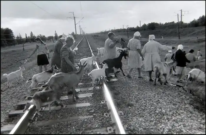 Дороги России