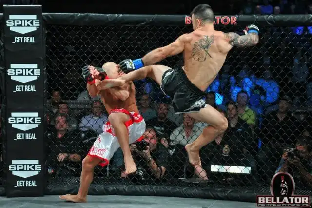 Лучшие ММА-фото 2011 года