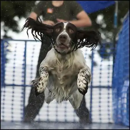 Стоп - Кадр.