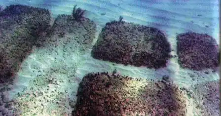 Дороги Бимини