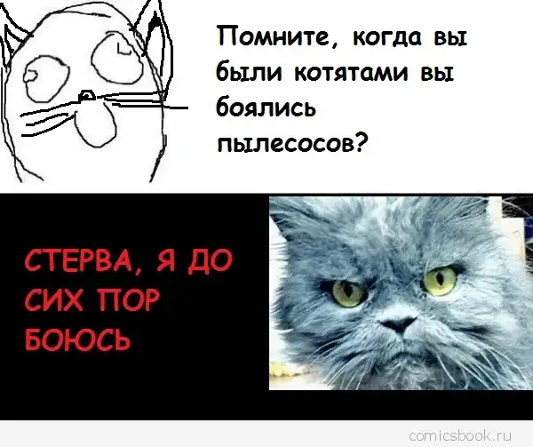 Комиксы FFFfffuuuuu (80 картинок)