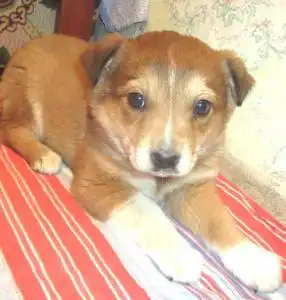 Девченка ждёт