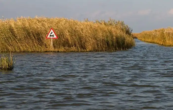 Прикольные картинки абавсём:D (30.12.11)