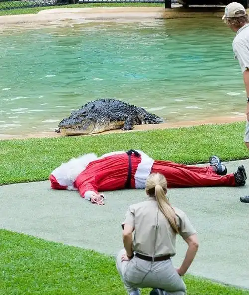 Как "они" празнуют нг.