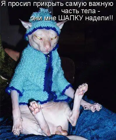 Котоматрицы