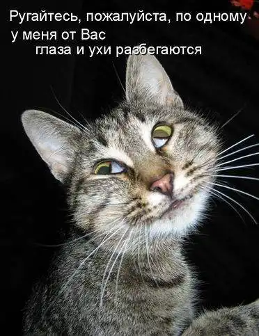 Котоматрицы