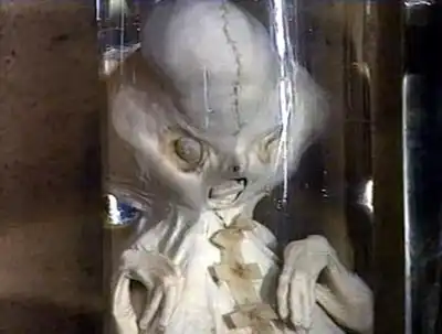 Женщина родила пришельца