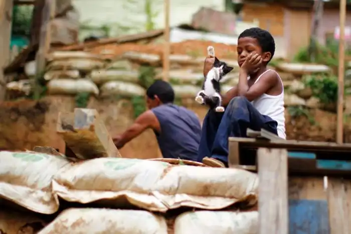 Лучшие фотографии животных за 2011 год