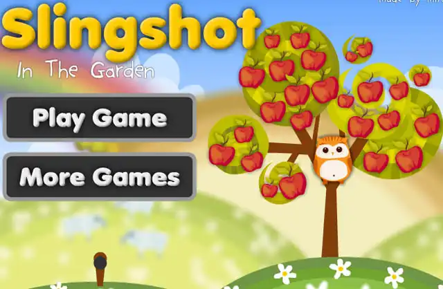 Slingshot In The Garden