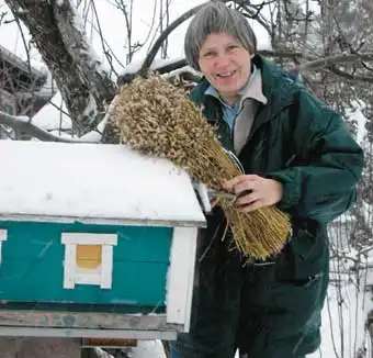 Художница Инге Лоок (Финляндия)