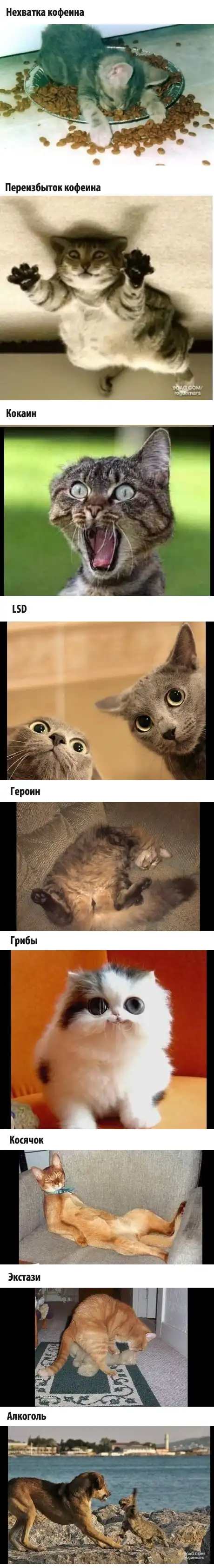 Что делают с нами наркотики.