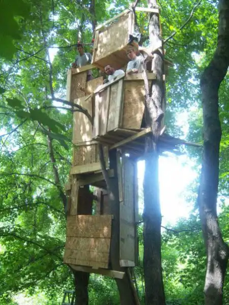 Как парни на дереве дом строили...