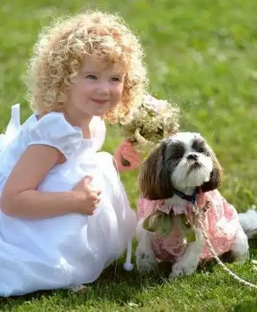 Мелочь пузатая