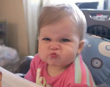 Забавные милахи....