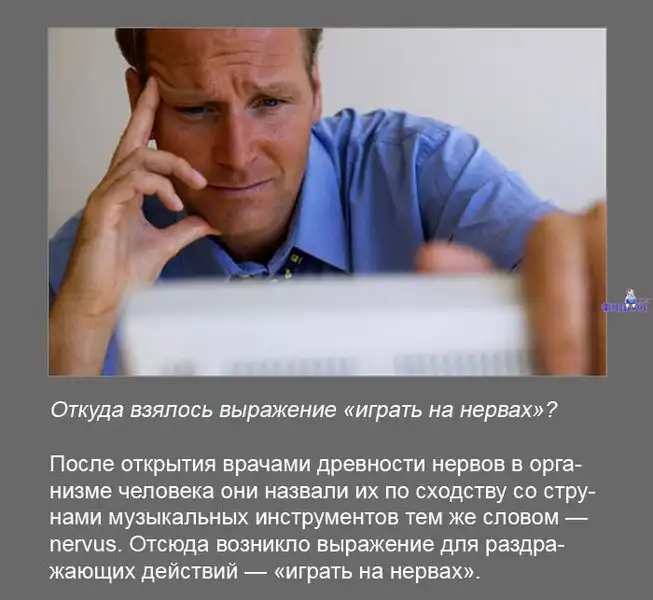 Интересные факты обо всем