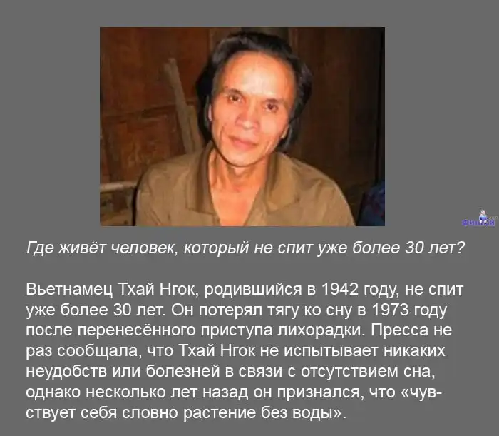 Интересные факты обо всем